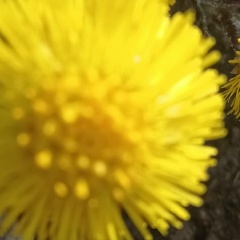 Саша Мухина, 13.04.1988, Курск