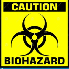 Денис Устинов, Санкт-Петербург