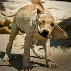 Andrey Summanen, 17.04