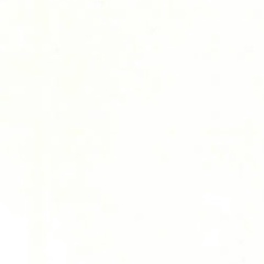 Максим Германн, Why