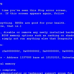 Del-Negro Dominiko, 25.08, Хабаровск