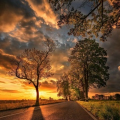 Рима Башкирова, 03.10, Актау