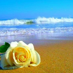 Azat Maratbek, 06.08.1986, Тараз