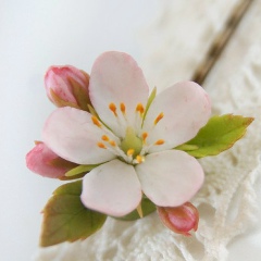 Алма Ахметжанова, Алматы