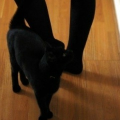 Юлия Котова, 16.03, Санкт-Петербург