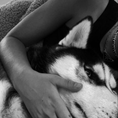 Алинка Ђеттер, 25.01