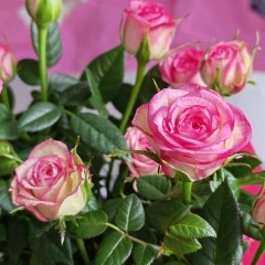 Евгения Алексеева, 31.08, Санкт-Петербург