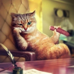 Андрей Самойленко