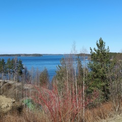 Наталья Петушкова, 04.06, Lappeenranta