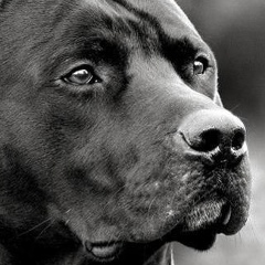 Евгений Ветров, 12.10