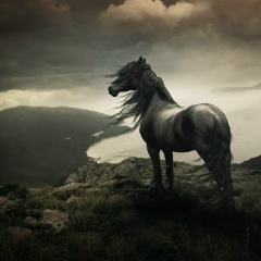 Айдыс Тувен-Байыр, 07.05