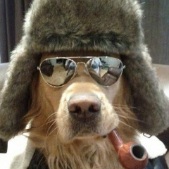 Усен Талипов, 12.11.1991, Сарыагаш