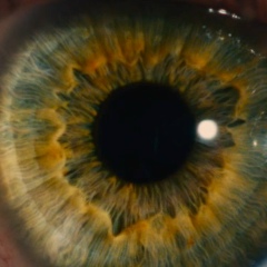 Дабылхан Бекболатов, 15.09.1993, Астана