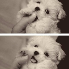 Elena Bekbulatova, 01.02, Алматы