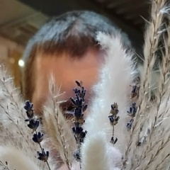 Мирон Боргулёв, 27.04.1981, Москва