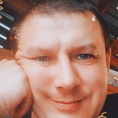 Михаил Дешкович, Визинга