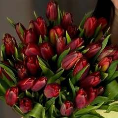 Елена Корнеевец, Курган