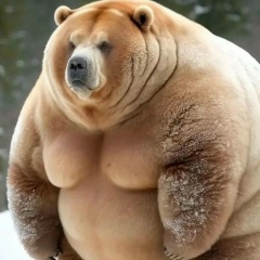 Алексей Коцур, 29.11.1979, Северодвинск