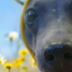 Nastya Nastya, 26.08