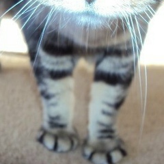 Brian Barry, 17.08.1932, Санкт-Петербург