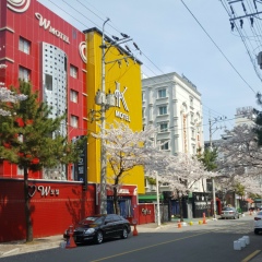 Дана Ли, 05.07, Busan