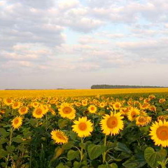 Светлана Рыбак, 06.02