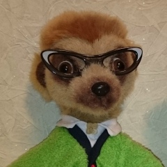 Дарья , 12.07, Санкт-Петербург