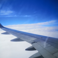 Наталья Пяткова, 06.08.1981, Санкт-Петербург