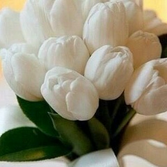 Aidana Toleubekova, 28.11.1993, Астана