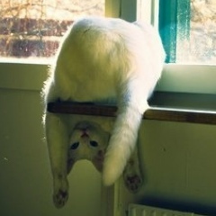 Chronic Omen, 17.08.1990