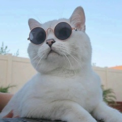 Жанна Кот, 08.11, Брянск