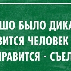 Baysxan Orinbek, 28.09.1997, Шымкент