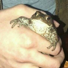 Маргарита Ячмень, 23.11.1937