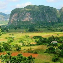 Мария Макашина, 02.06, Санкт-Петербург