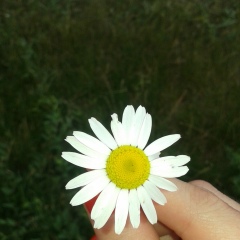 Айнұр Мыңбаева, 08.05, Астана