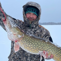 Вячеслав Прокофьев, Санкт-Петербург
