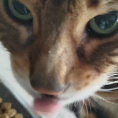 Игорь Соловьёв, 24.06.1989, Москва