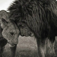 Vivienne Soleil, 06.11, Москва