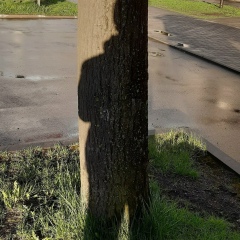 Дима Чистович, 11.05.1981, Санкт-Петербург