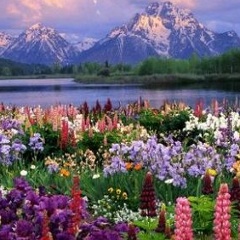 Лилия Мухаметзянова, Нижний Новгород