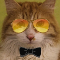 Михаил Воробьёв, 13.06.1985, Санкт-Петербург