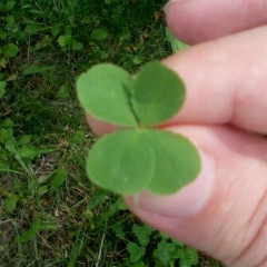 Антон Морозов, 29.09.1988, Москва