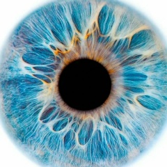 Алексей Загоруйко