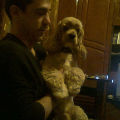 Владимир Коменч, 29.10, Красноармейск