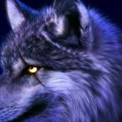 Эмрах Мурсалимов