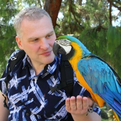 Александр Новиков, Москва