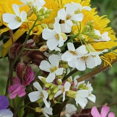 Анастасия Чеховская, 20.09.1986, Севастополь