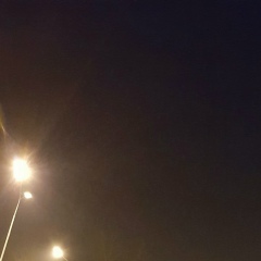 Ви Ли, 29.02.1920, Москва