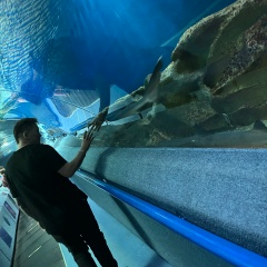 Анна Ларионова, 02.08.1989, Санкт-Петербург