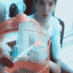 Aikyn Gassanov, 11.11.1990